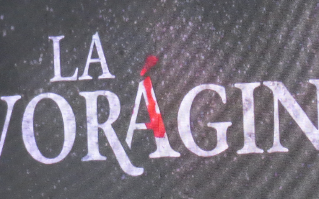 LA VORÁGINE serie es memoria, es denuncia, es poesía visual.