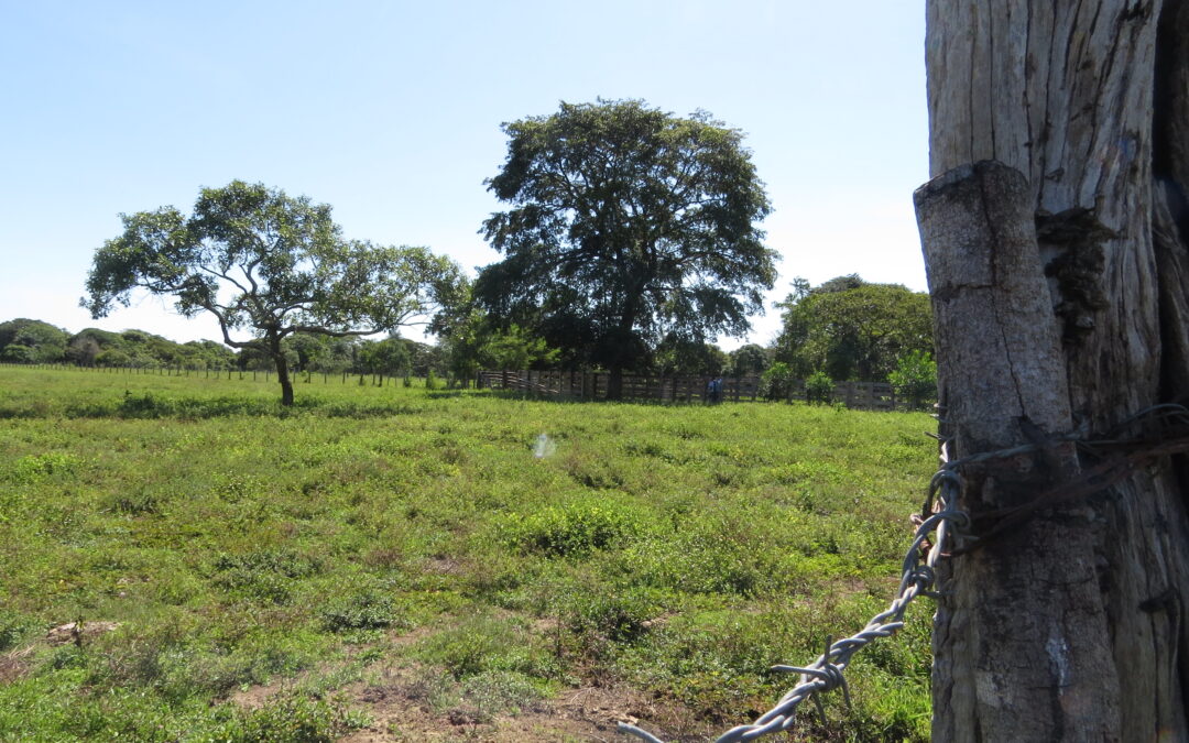 El 75 % del territorio nacional cuenta con su cartografía actualizada: IGAC – Gustavo Marulanda Morales.