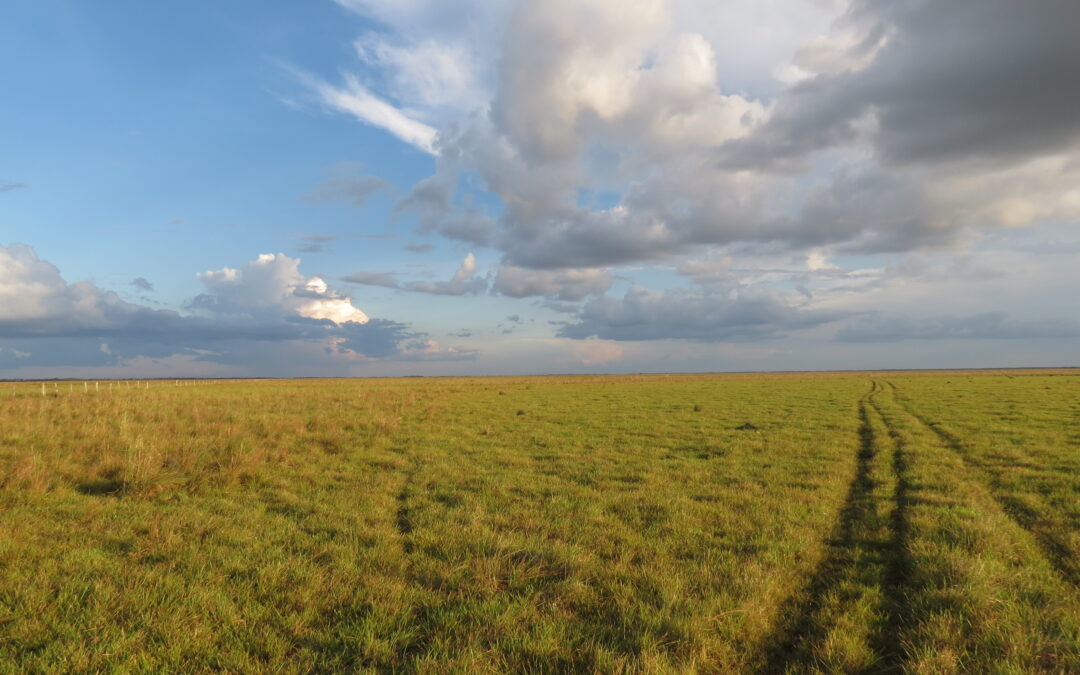 EL TURISMO SOBREPASA DIVISAS DEL CARBÓN: Presidente PETRO