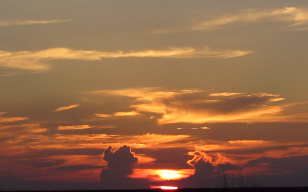 PRESIDIARIO ES EL NUEVO TITULO DEL EXPRESIDENTE “ANALISIS A LA CONDENA DE ALVARO URIBE VELEZ”