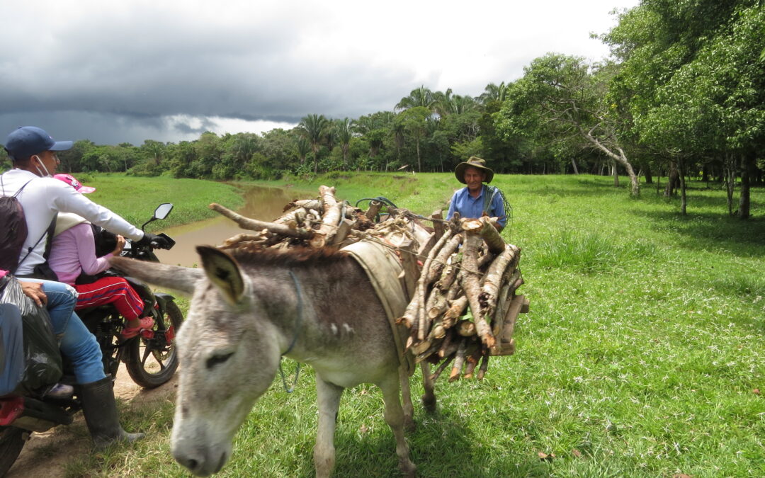 Dignidad Mayor – PENSIÓN PARA LOS ABUELOS CASANAREÑOS