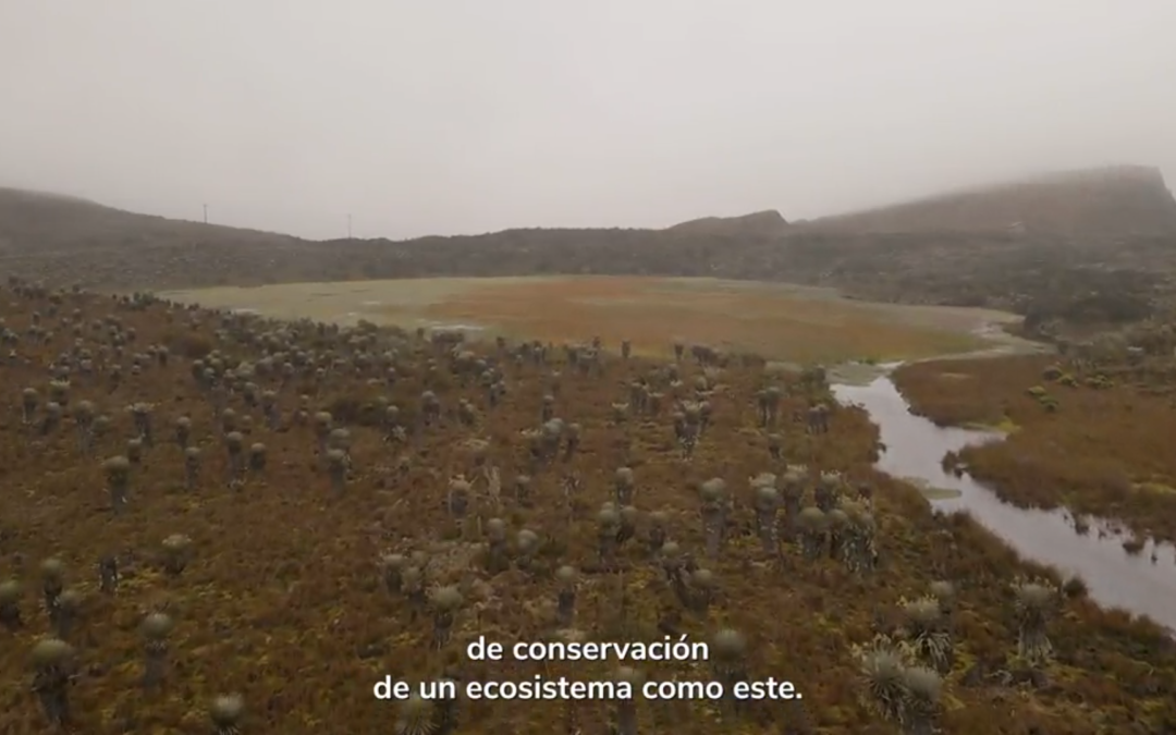 FRONTERA AGRICOLA INCLUYENTE – cuidemos los paramos colombianos –