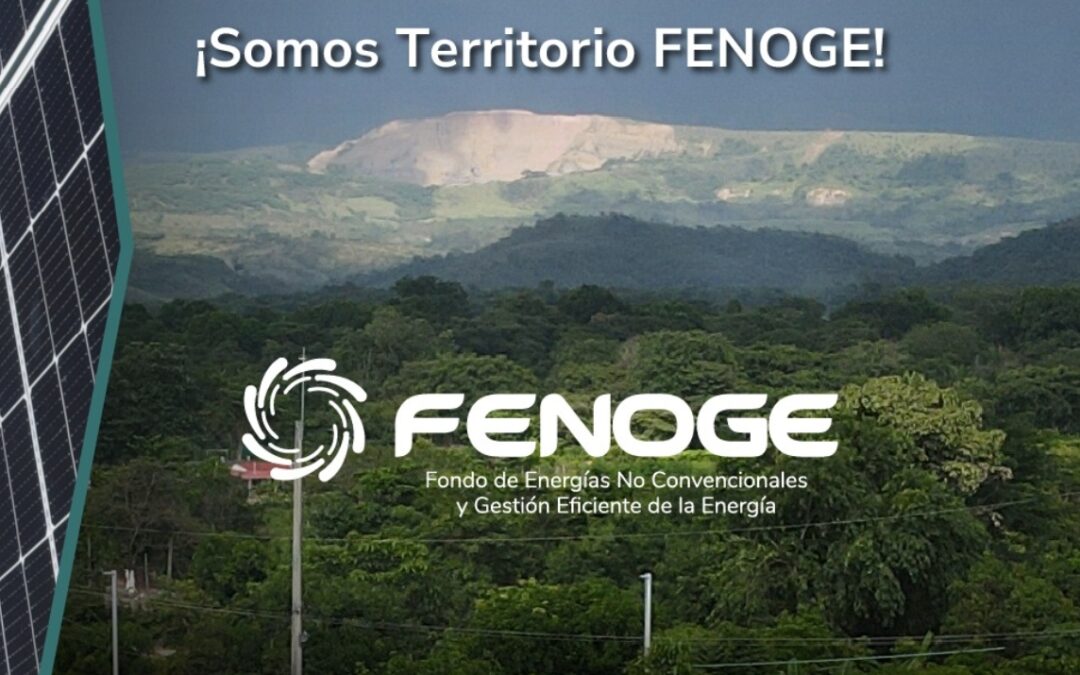  TRANSFORMAR CON ENERGÍA, AVANZAR CON DIGNIDAD  -FENOGE-