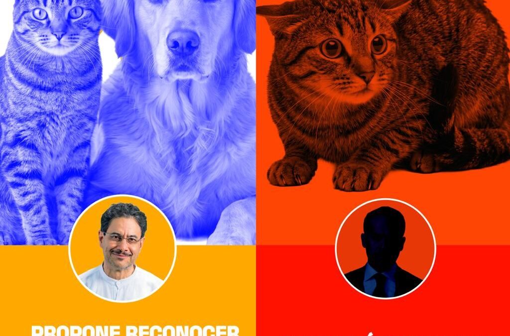Propone Reconocer a los Animales como Sujetos de Derechos.